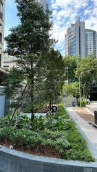 10 Evelyn (D11), Apartment #357475241